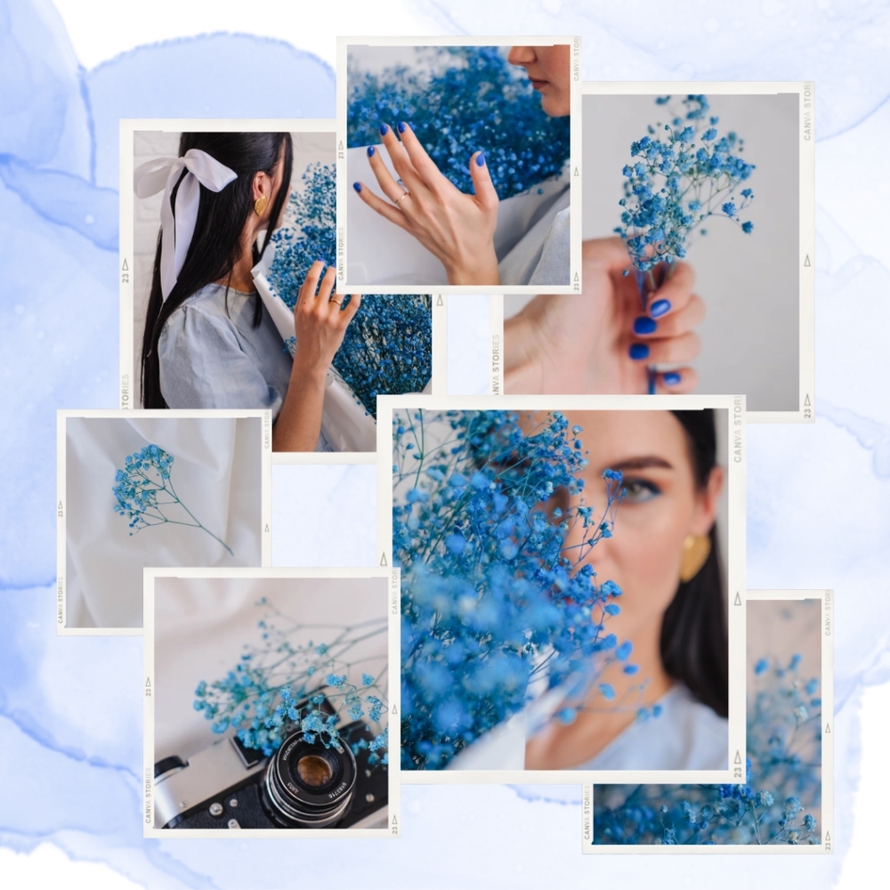 💙 BLUE 💙